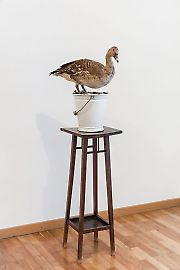 georg-kargl-fine-arts2021mark-dion08an-account-of-the-collector-in-a-white-bucket-duck.jpg