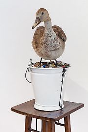 georg-kargl-fine-arts2021mark-dion10an-account-of-the-collector-in-a-white-bucket-duck.jpg
