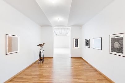 georg-kargl-fine-arts2021mark-dion22installation-view.jpg