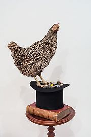 georg-kargl-fine-arts2021mark-dion01portrait-of-madame-collector-chicken.jpg