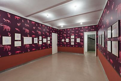 georg-kargl-fine-arts2021mark-dion04installation-view.jpg