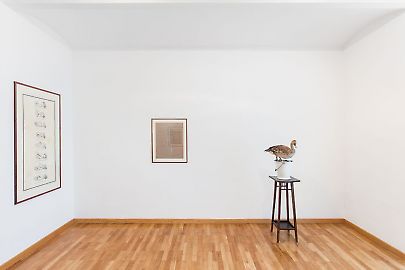 georg-kargl-fine-arts2021mark-dion21installation-view.jpg