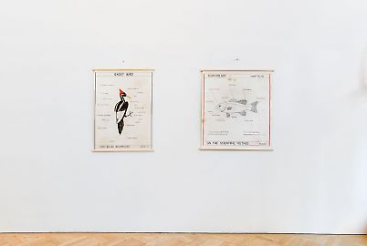 georg-kargl-fine-arts2021mark-dion27installation-view.jpg