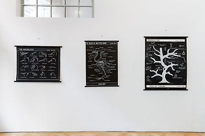 georg-kargl-fine-arts2021mark-dion28installation-view.jpg