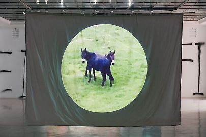 georg-kargl-fine-arts2021two-headedhorsepolska-samieeinstallation-view02web.jpg