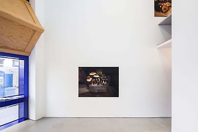 georg-kargl-box2022olivia-coelnknot-of-toadsinstallation-view06final.jpg