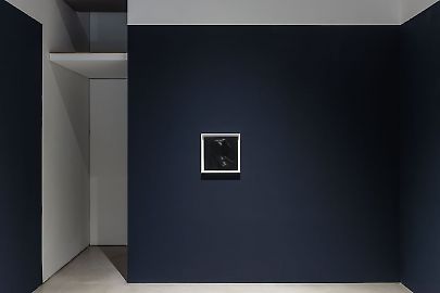 2023georg-kargl-boxrafal-bujnowski-portraits02exhibition-view.jpg