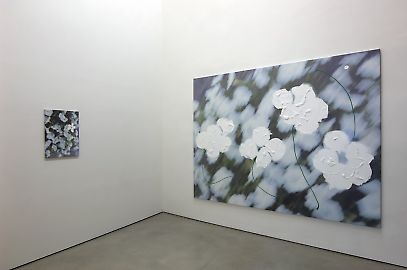 06.jpg