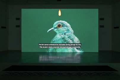 atousandyearsplan1.jpg