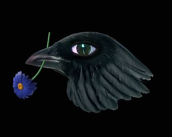 birdwithfloweragnieszkapolska.jpg